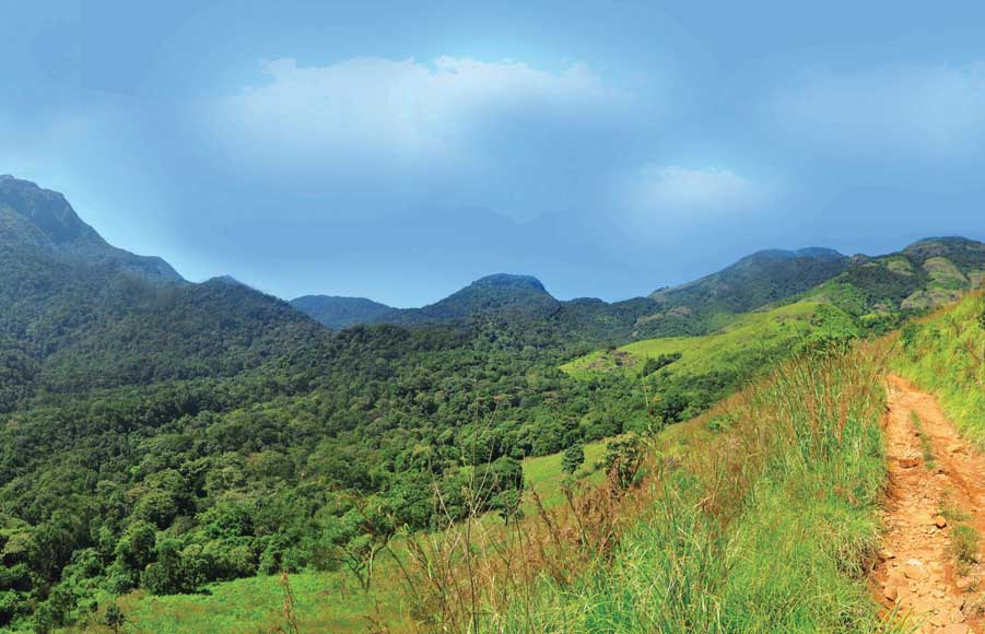 CHEMBRA-WAYANAD